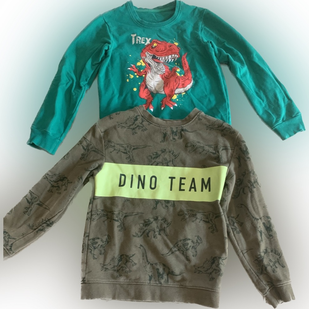 Dinosaur sweaters , great condition , size small boys